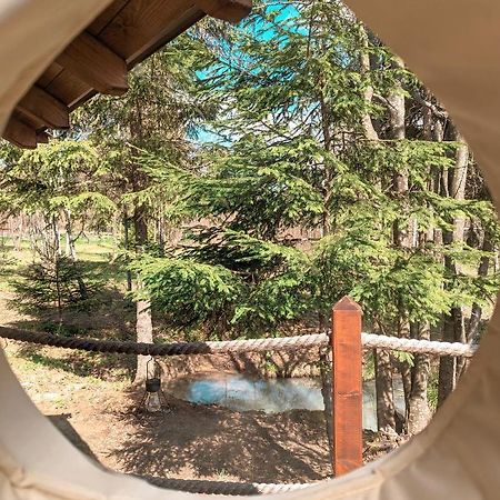 Medve Dome - Luxury Camping In The Middle Of Nature Vlahita Exterior foto