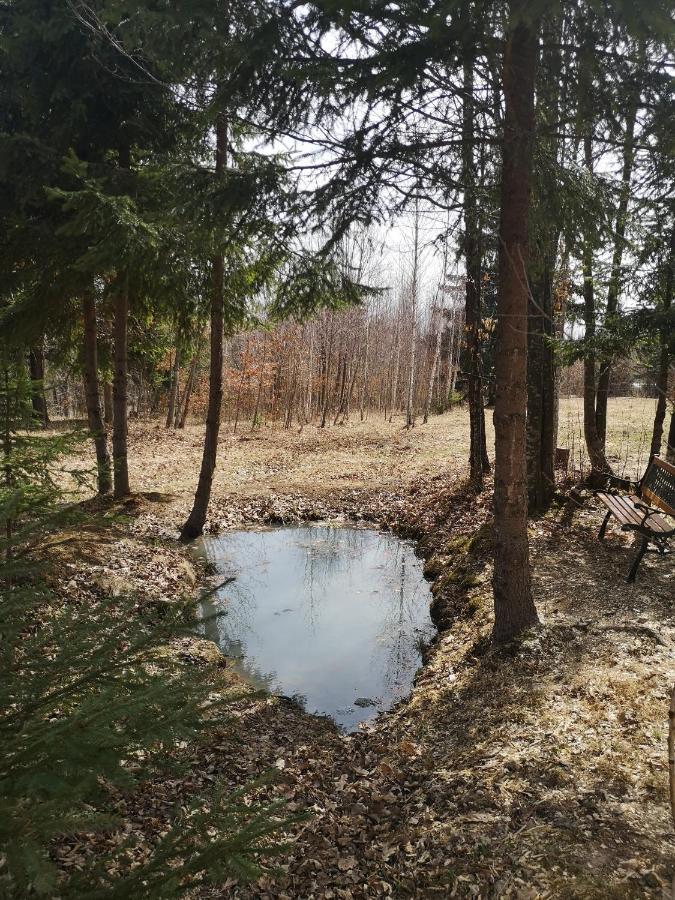 Medve Dome - Luxury Camping In The Middle Of Nature Vlahita Exterior foto