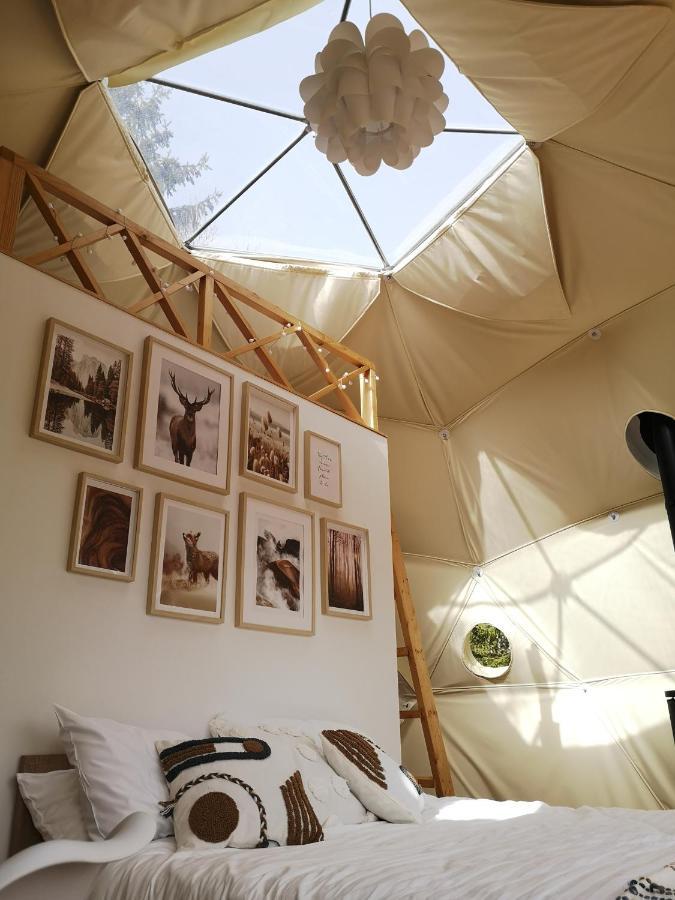 Medve Dome - Luxury Camping In The Middle Of Nature Vlahita Exterior foto