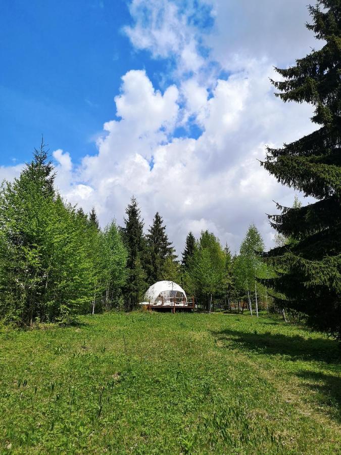 Medve Dome - Luxury Camping In The Middle Of Nature Vlahita Exterior foto