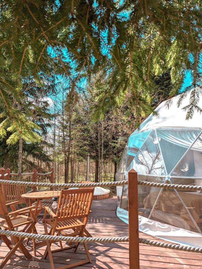 Medve Dome - Luxury Camping In The Middle Of Nature Vlahita Exterior foto